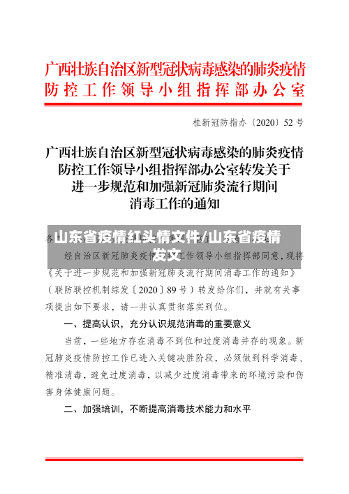 山东省疫情红头情文件/山东省疫情发文-第2张图片