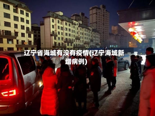 辽宁省海城有没有疫情(辽宁海城新增病例)-第2张图片