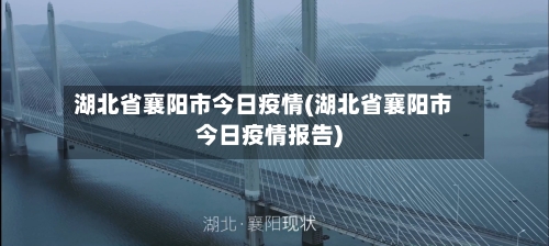 湖北省襄阳市今日疫情(湖北省襄阳市今日疫情报告)-第2张图片