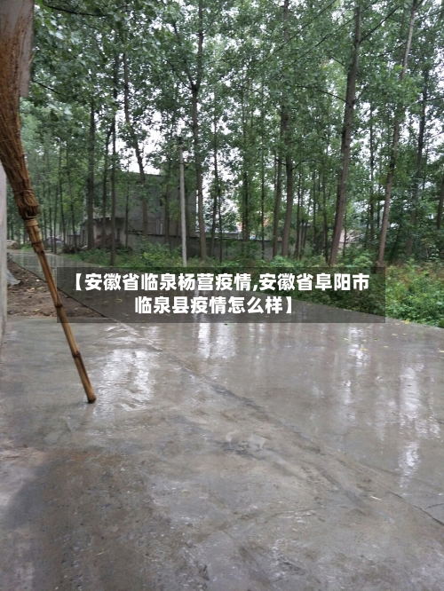 【安徽省临泉杨营疫情,安徽省阜阳市临泉县疫情怎么样】-第2张图片