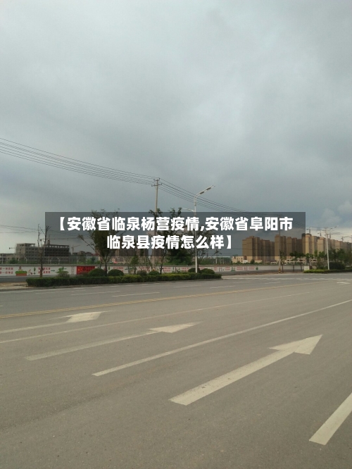 【安徽省临泉杨营疫情,安徽省阜阳市临泉县疫情怎么样】-第3张图片