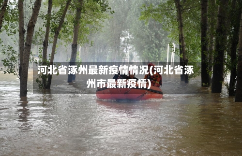 河北省涿州最新疫情情况(河北省涿州市最新疫情)-第2张图片