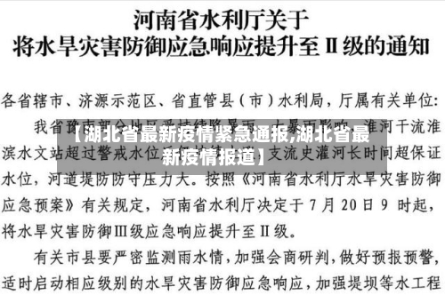 【湖北省最新疫情紧急通报,湖北省最新疫情报道】-第1张图片