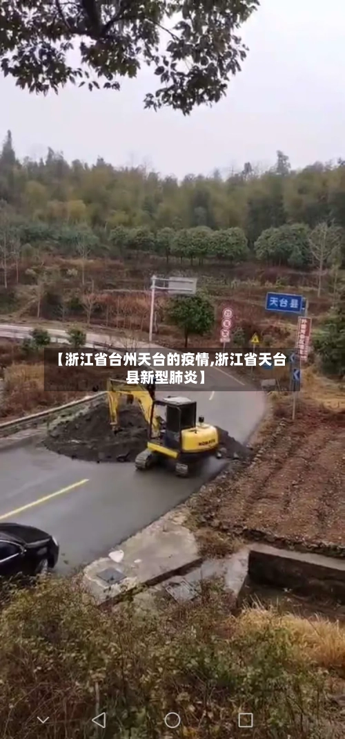【浙江省台州天台的疫情,浙江省天台县新型肺炎】-第2张图片