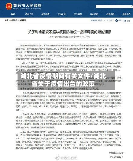 湖北省疫情期间有关文件/湖北省关于疫情出台的政策-第1张图片