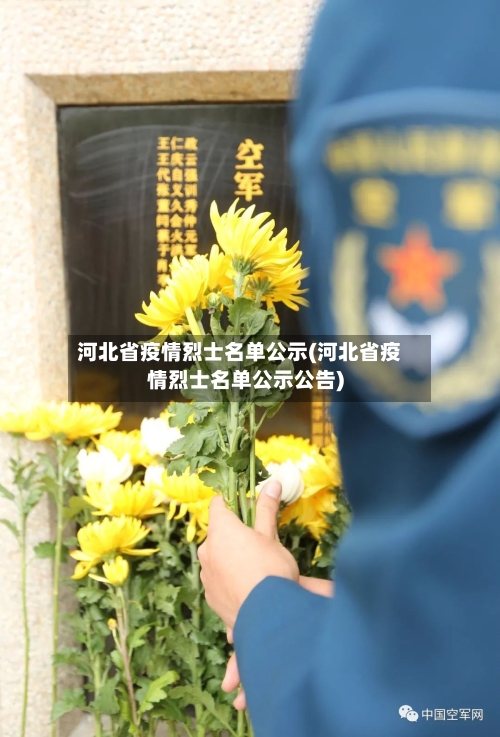 河北省疫情烈士名单公示(河北省疫情烈士名单公示公告)-第1张图片
