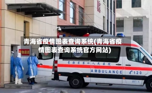 青海省疫情图表查询系统(青海省疫情图表查询系统官方网站)-第2张图片