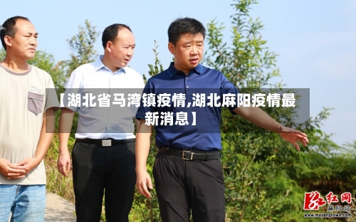 【湖北省马湾镇疫情,湖北麻阳疫情最新消息】-第1张图片