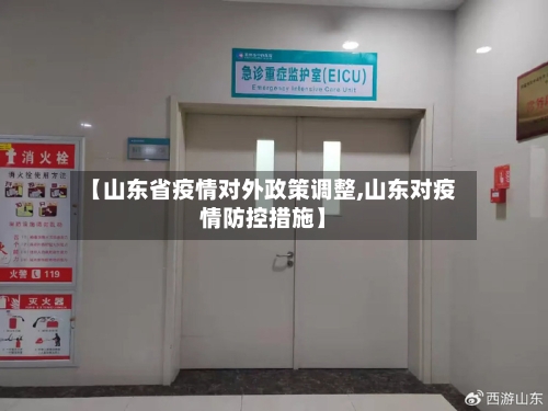 【山东省疫情对外政策调整,山东对疫情防控措施】-第1张图片