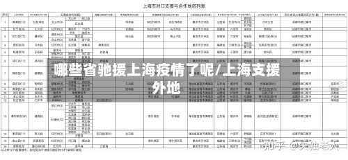 哪些省驰援上海疫情了呢/上海支援外地-第3张图片