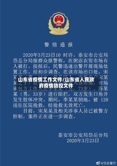 山东省疫情工作文件/山东省人民政府疫情防控文件-第2张图片