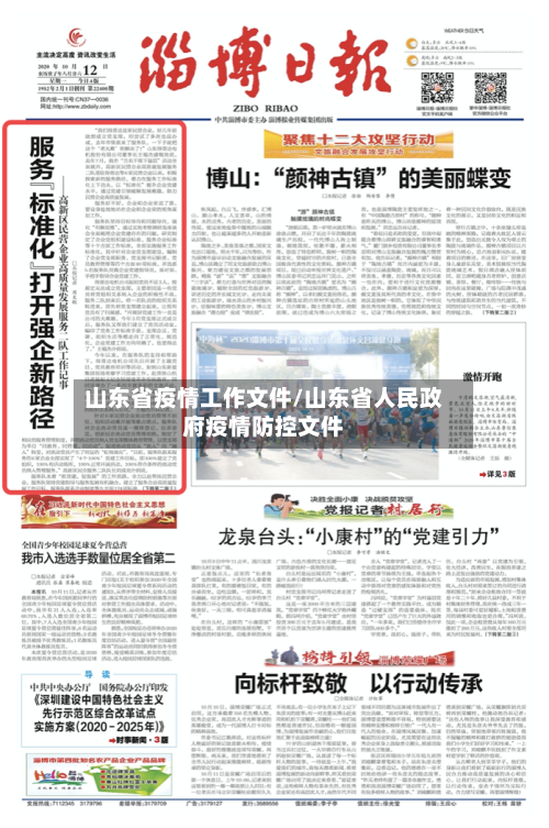 山东省疫情工作文件/山东省人民政府疫情防控文件-第1张图片