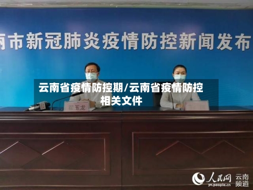云南省疫情防控期/云南省疫情防控相关文件-第1张图片