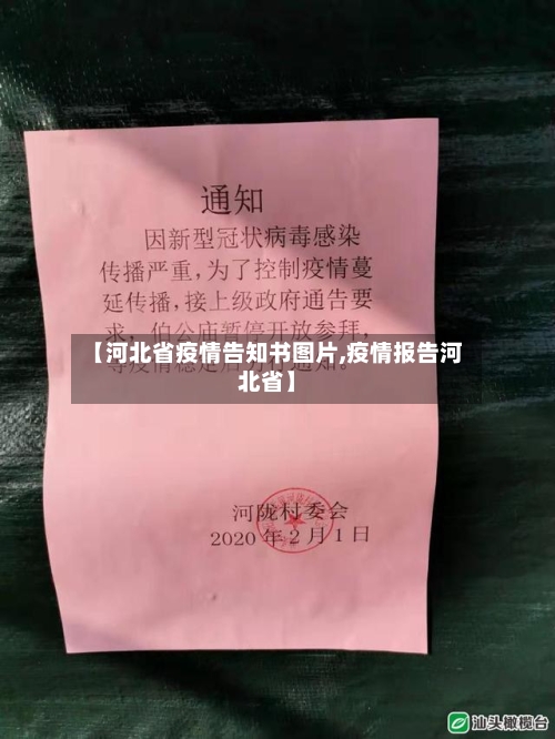 【河北省疫情告知书图片,疫情报告河北省】-第3张图片