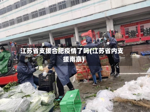 江苏省支援合肥疫情了吗(江苏省内支援南京)-第2张图片