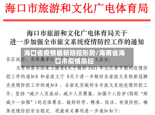 海口省疫情最新防控形势/海南省海口市疫情防控-第3张图片
