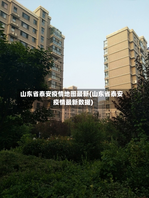 山东省泰安疫情地图最新(山东省泰安疫情最新数据)-第2张图片