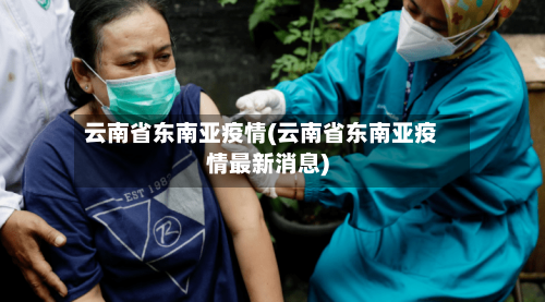 云南省东南亚疫情(云南省东南亚疫情最新消息)-第3张图片