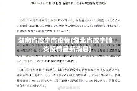 湖南省咸宁市疫情(湖北省咸宁肺炎疫情最新消息)-第2张图片