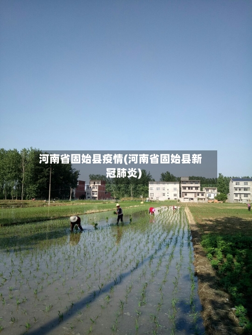 河南省固始县疫情(河南省固始县新冠肺炎)-第2张图片