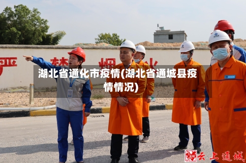 湖北省通化市疫情(湖北省通城县疫情情况)-第2张图片