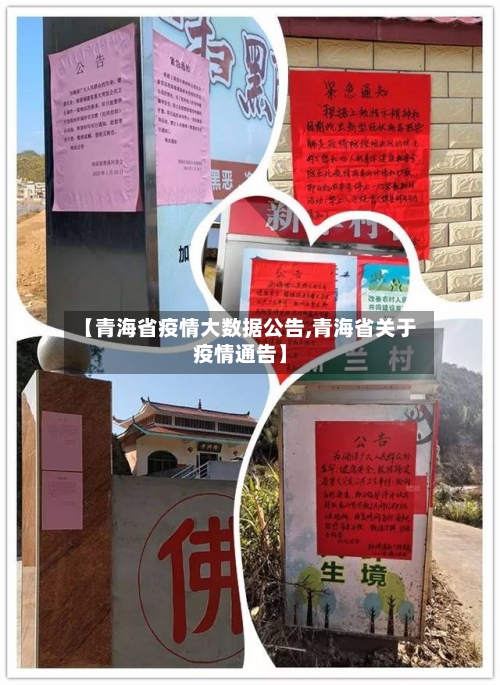 【青海省疫情大数据公告,青海省关于疫情通告】-第2张图片