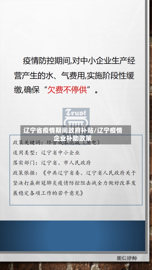 辽宁省疫情期间政府补贴/辽宁疫情企业补助政策-第1张图片