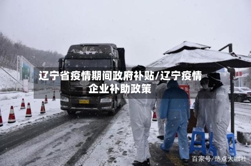 辽宁省疫情期间政府补贴/辽宁疫情企业补助政策-第2张图片