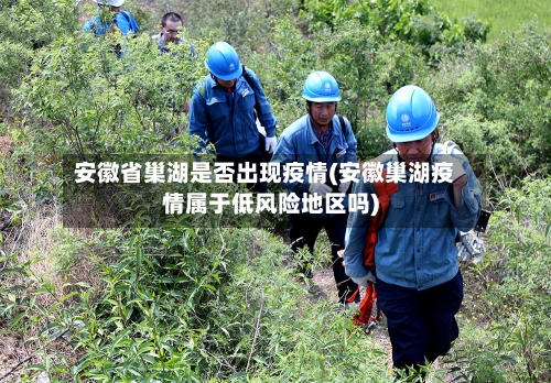 安徽省巢湖是否出现疫情(安徽巢湖疫情属于低风险地区吗)-第2张图片