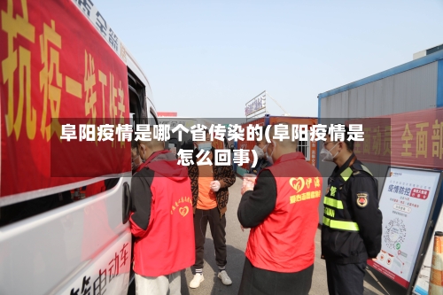 阜阳疫情是哪个省传染的(阜阳疫情是怎么回事)-第3张图片
