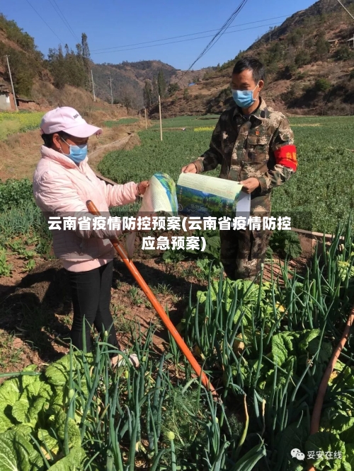 云南省疫情防控预案(云南省疫情防控应急预案)-第1张图片