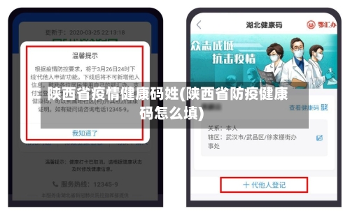 陕西省疫情健康码姓(陕西省防疫健康码怎么填)-第2张图片