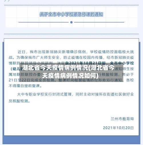湖北省今天疫情病例情况(湖北省今天疫情病例情况如何)-第1张图片