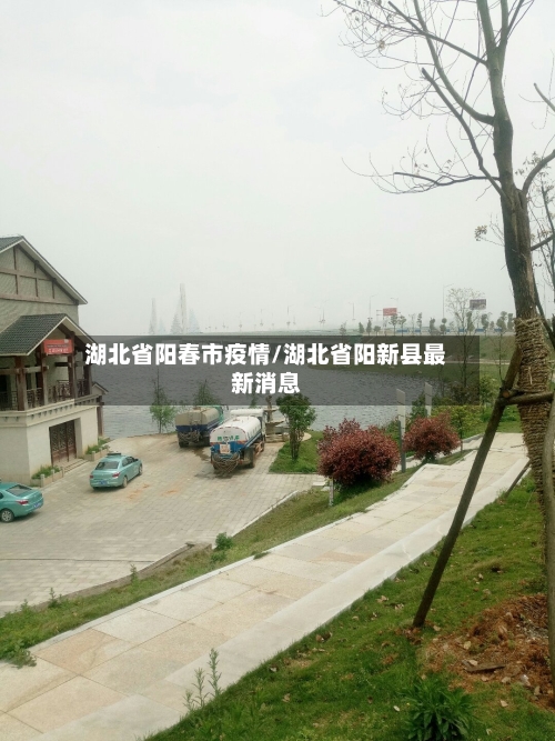 湖北省阳春市疫情/湖北省阳新县最新消息-第2张图片