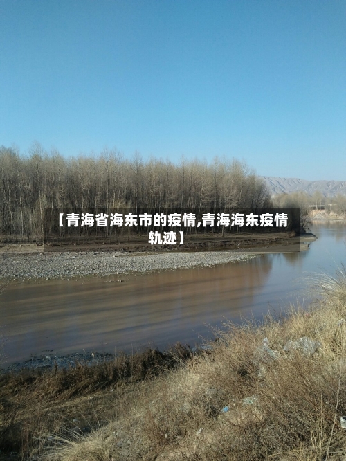【青海省海东市的疫情,青海海东疫情轨迹】-第3张图片