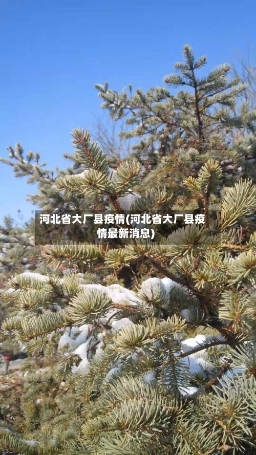 河北省大厂县疫情(河北省大厂县疫情最新消息)-第1张图片