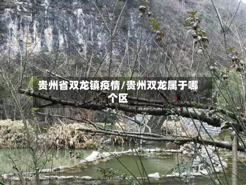 贵州省双龙镇疫情/贵州双龙属于哪个区-第1张图片