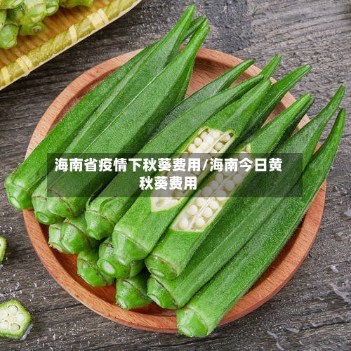 海南省疫情下秋葵费用/海南今日黄秋葵费用-第2张图片
