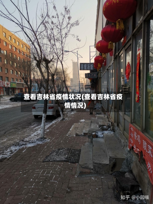 查看吉林省疫情状况(查看吉林省疫情情况)-第1张图片