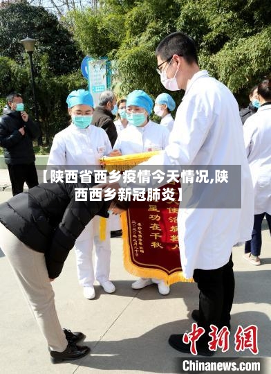 【陕西省西乡疫情今天情况,陕西西乡新冠肺炎】-第2张图片