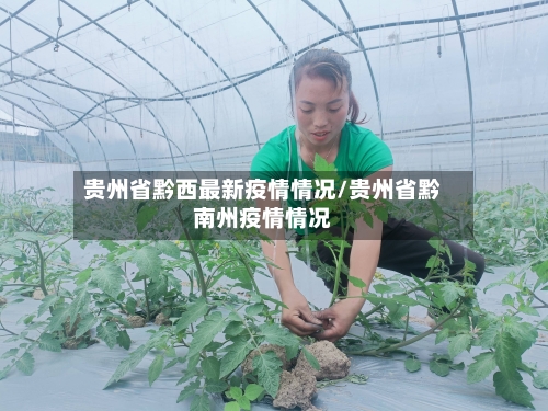 贵州省黔西最新疫情情况/贵州省黔南州疫情情况-第3张图片