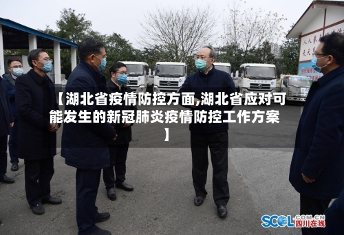 【湖北省疫情防控方面,湖北省应对可能发生的新冠肺炎疫情防控工作方案】-第1张图片