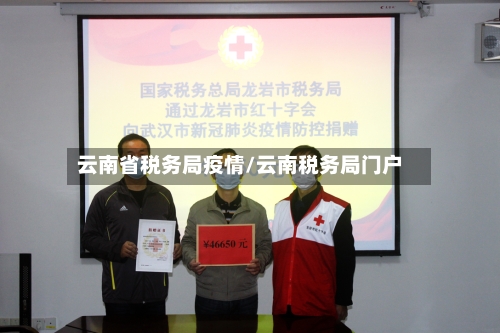 云南省税务局疫情/云南税务局门户-第1张图片