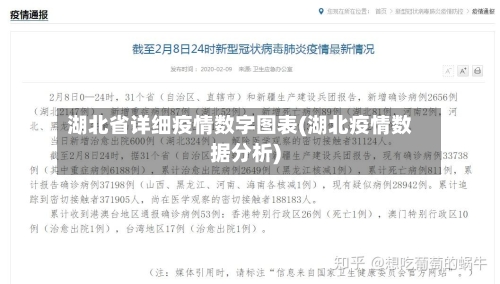 湖北省详细疫情数字图表(湖北疫情数据分析)-第1张图片