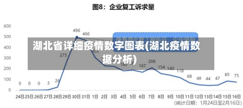 湖北省详细疫情数字图表(湖北疫情数据分析)-第2张图片