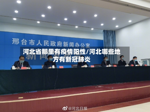 河北省那里有疫情阳性/河北哪些地方有新冠肺炎-第3张图片