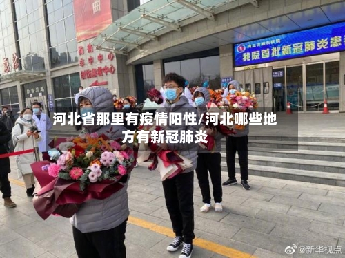 河北省那里有疫情阳性/河北哪些地方有新冠肺炎-第2张图片