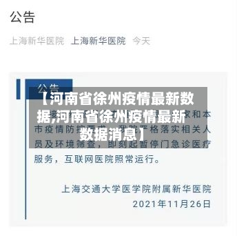 【河南省徐州疫情最新数据,河南省徐州疫情最新数据消息】-第2张图片