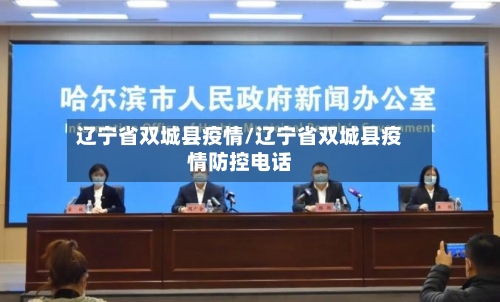 辽宁省双城县疫情/辽宁省双城县疫情防控电话-第1张图片