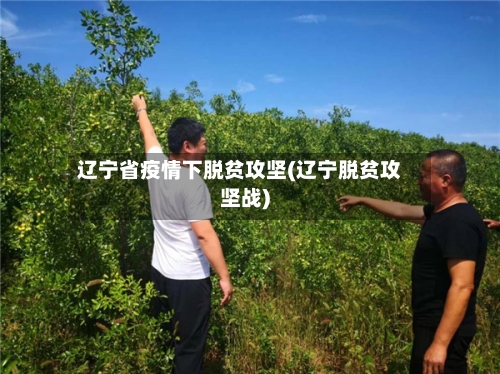 辽宁省疫情下脱贫攻坚(辽宁脱贫攻坚战)-第1张图片